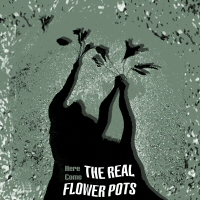 The Real Flower Pots